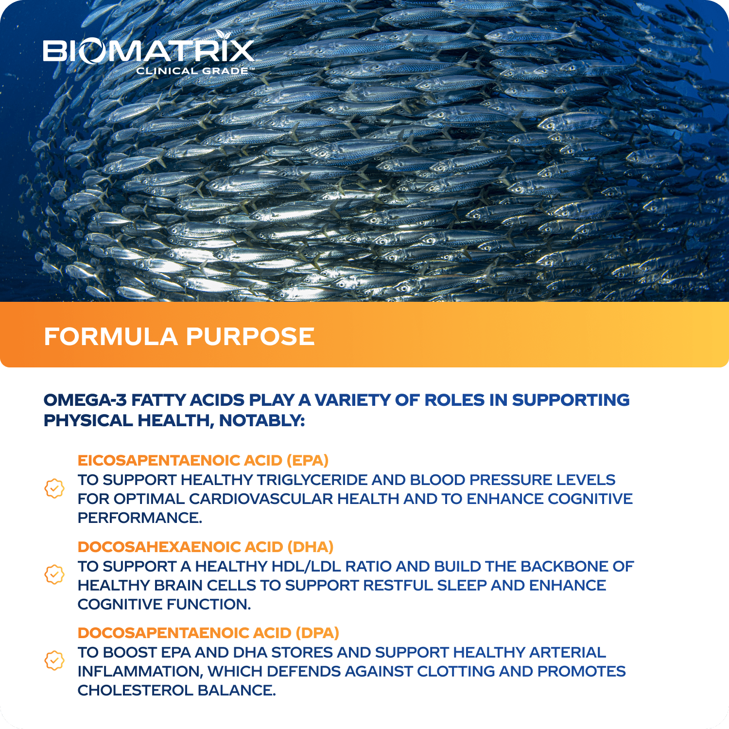 BioMatrix Support Omega - Omega 3 Fish Oil - Cardiovascular, Musculoskeletal Support, 120 Caps