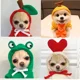 thumbnail image 2 of Suéter para perros Ropa fina para mascotas Ropa para perros y gatitos Suéter de frutas Perros Gatos Frutas Mascotas Suéteres de otoño e invierno, 2 of 5