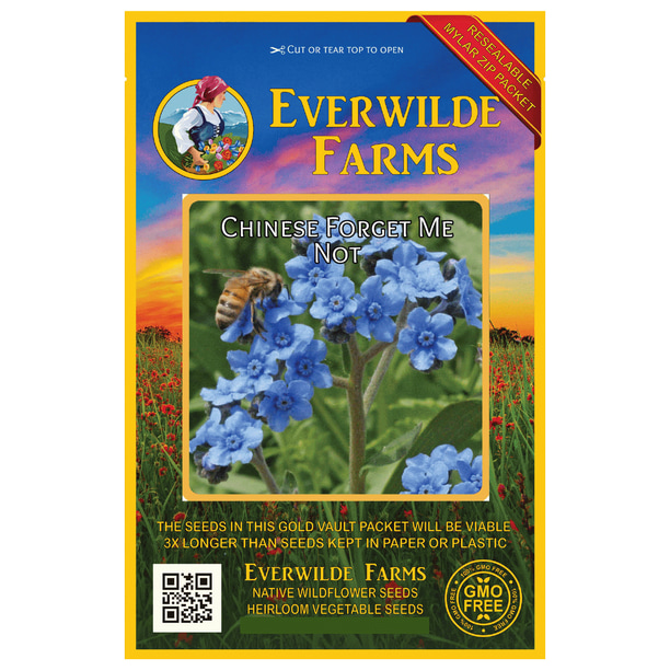 Everwilde Farms 1000 Chinese Me Not Garden Flower Seeds Gold
