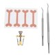 thumbnail image 1 of Kit de corrección de Uñas de los pies ANGGREK Acero Inoxidable, 1 of 7