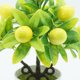 thumbnail image 2 of Almacén: Debe envolverse en bolsas de burbujas para el envío Bonsái de árbol frutal simulado naranja/maceta incluida recuerde desechar el tamaño del paquete: 22x12x8cm ANGGREK Otros, 2 of 8