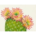 thumbnail image 2 of OToole, Tim 14x12 White Modern Wood Framed Museum Art Print Titled - Desert Blossoms I, 2 of 4