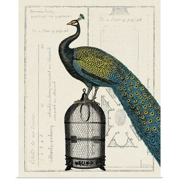 Great BIG Canvas | "Peacock Birdcage II" Art Print - 24x30
