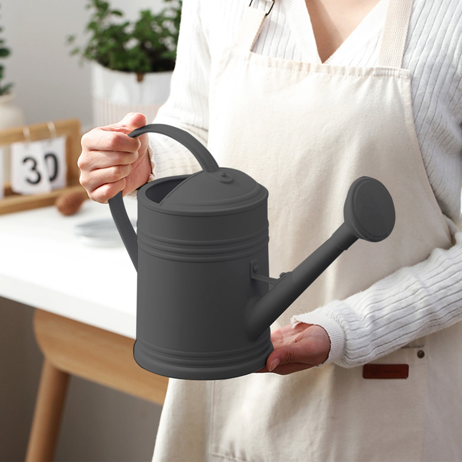 Long Spout Watering Can for Indoor Plants 2L Watering Kettle with Long Nozzle, Plastic Gardening Watering Can for Indoor Plants, Flower Wall Decor