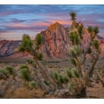 thumbnail image 2 of Fitzharris, Tim 28x26 Black Ornate Wood Framed with Double Matting Museum Art Print Titled - Spring Mountains at Red Rock Canyon National Conservation Area-Utah, 2 of 4