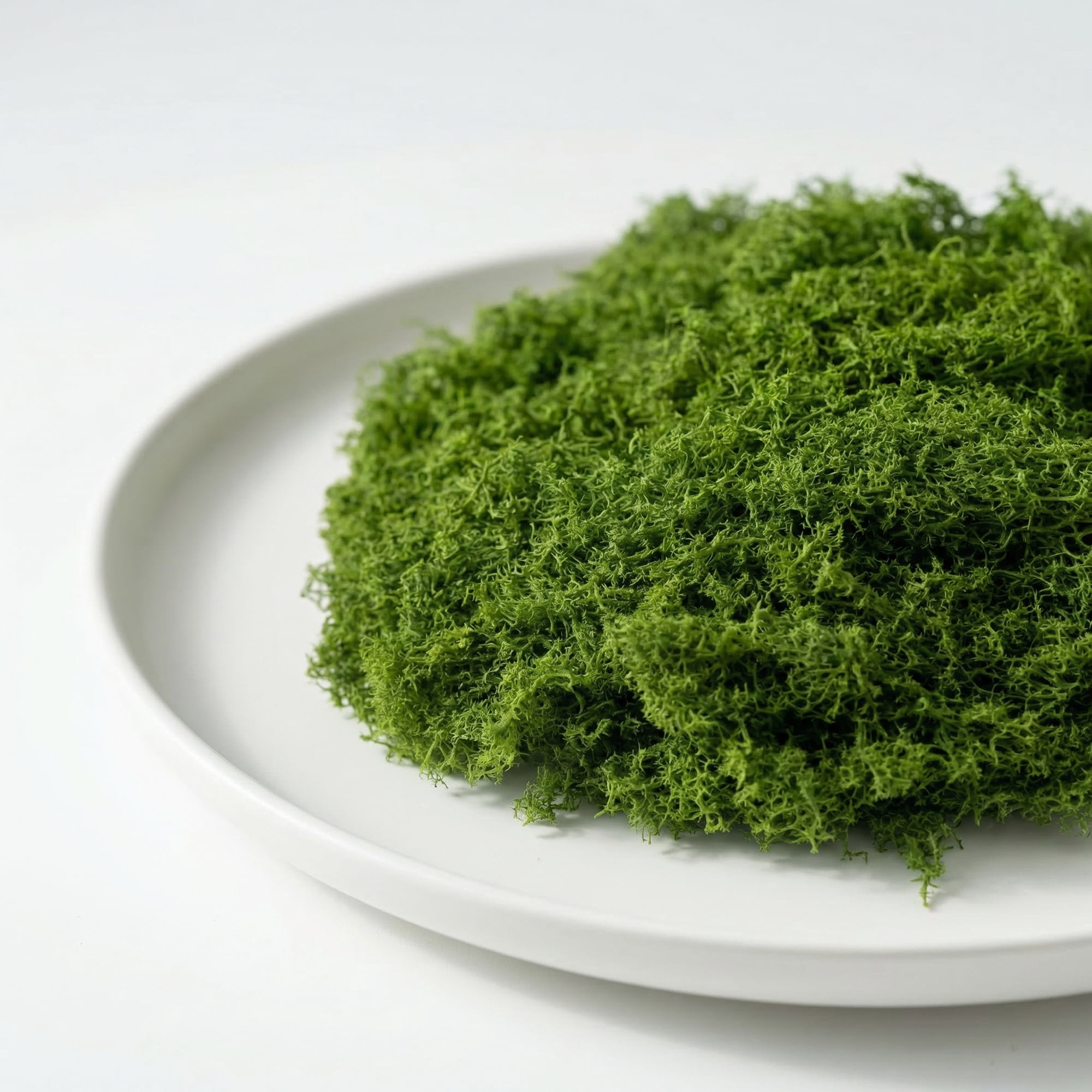 Unique Bargains Artificial Moss Fiber Realistic Grass for Garden in 100 g Dark Green
