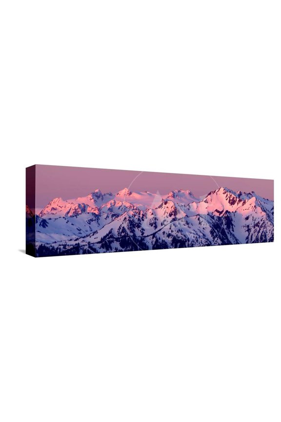 Alpenglow on Mt Olympus, Scenic Stretched Canvas Wall Art by Douglas Taylor Sold by ArtCom