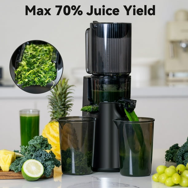 LINKChef Juicer Machine, Slow Masticating Machines with 4.1