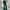 Green, variant on Flare Leg Leggings for Women Clearance Gym Workout Tummy Control Women's Leggings with Pockets Lounge Non-See Breathable Womens Yoga Pants with Pockets Stretch Athletic Black XXL