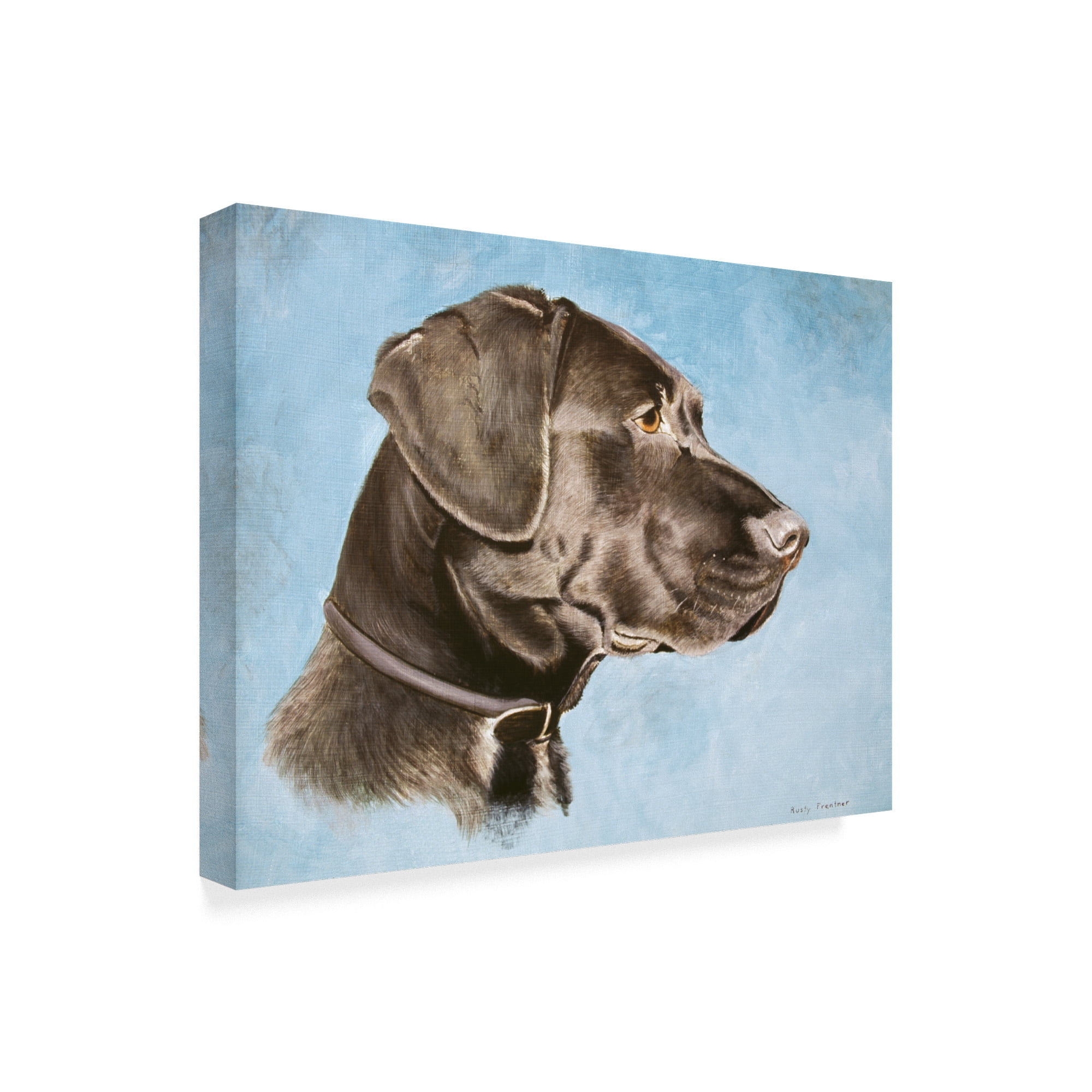 Trademark Fine Art 'Chocolate Lab' Canvas Art by Rusty Frentner