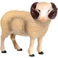 thumbnail image 1 of Heytea Simulated Sheep Figurines Realistic Plastic Farm Animals for Science Educational Prop(Ram), 1 of 4