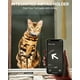thumbnail image 2 of Funda tipo collar de gato con soporte para AirTag de Apple, color negro, 2 of 7
