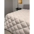 thumbnail image 2 of Floral Down Alternative Comforter, Country Flower Roses Buds Swirls with White Borders Leaves Art Print, Microfiber Quilt for All Season, 5 Sizes, Pale Pink Blue and Green, by Ambesonne, 2 of 3