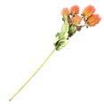 thumbnail image 4 of Cardo artificial Flor de simulación Ramo de flores Oficina en casa Decoración floral Banquete de boda Cardo falso, Rosa Inevent HA7103-01, 4 of 6
