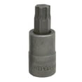 thumbnail image 2 of Lisle 81110 TP60 Prise Torx Plus, 2 of 3
