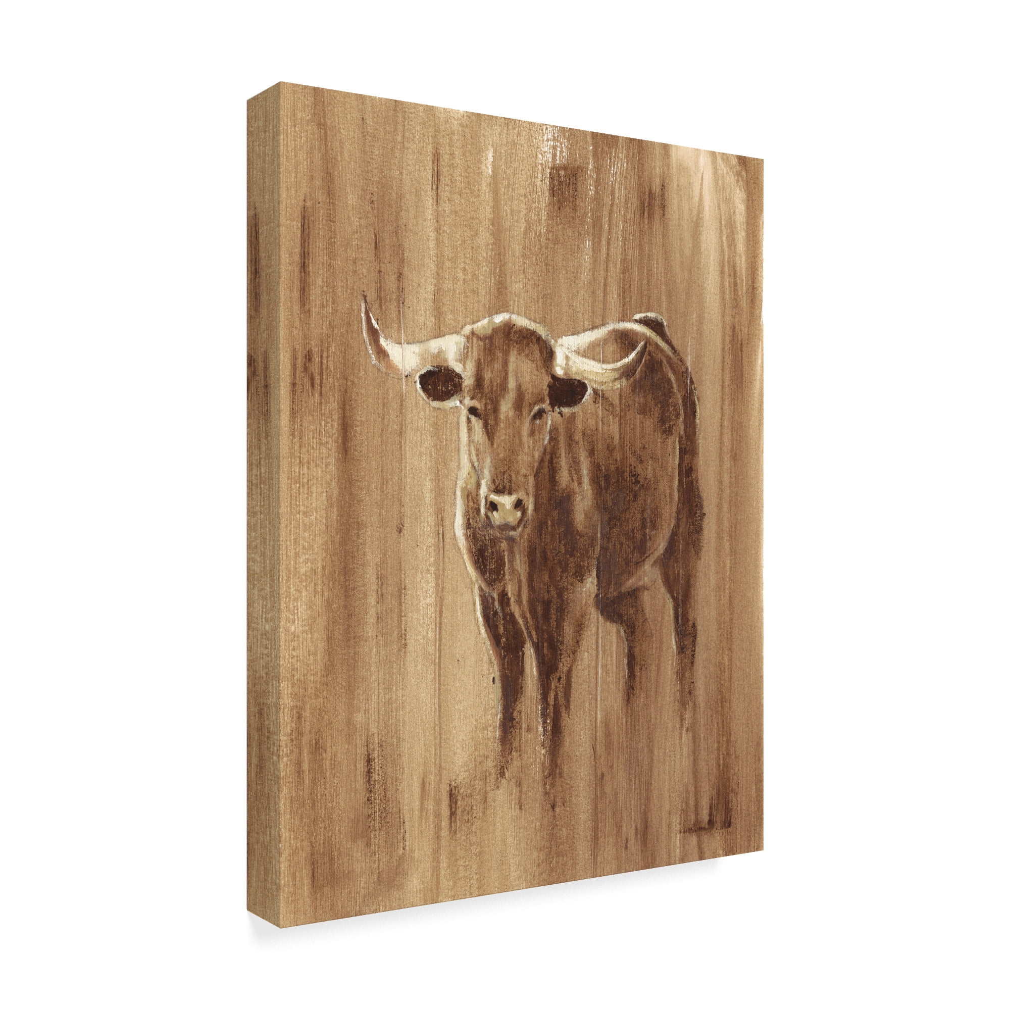 Trademark Fine Art 'Wood Panel Longhorn' Canvas Art by Ethan Harper