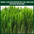 thumbnail image 4 of Purely Organic Products Lawn Food 10-0-2 Granular Fertilizer, 15 Lb, Covers 3000 Sq Ft, 4 of 9
