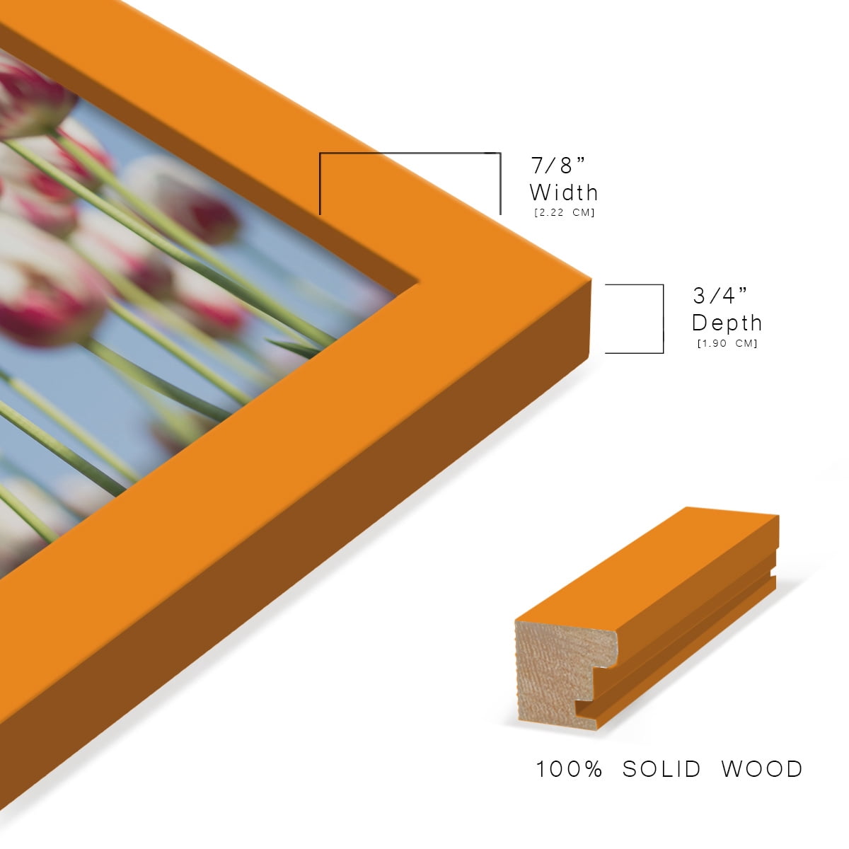 Modern 6 in. x 8 in. Orange Picture Frame (Set of 4)