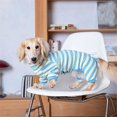 thumbnail image 7 of UOSIA Dachshund Dog Shirt, Thin Striped Base Layer Onesie for Dogs, Lightweight Soft & Comfy Fit for Mini Dachshund, 7 of 7