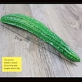thumbnail image 1 of Simulation PU Fake Vegetable Green Food Model Harvest Decor Photography Props, 1 of 10
