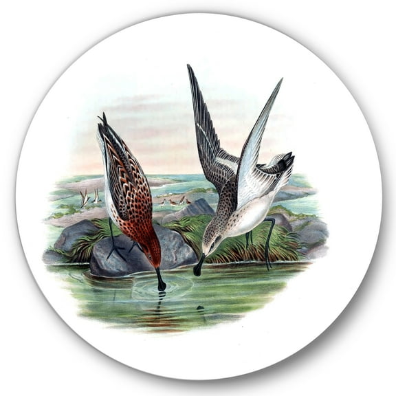 Designart 'Vintage Countryside Two Birds In Lake' Farmhouse Circle Metal Wall Art 36x36 - Disc of 36