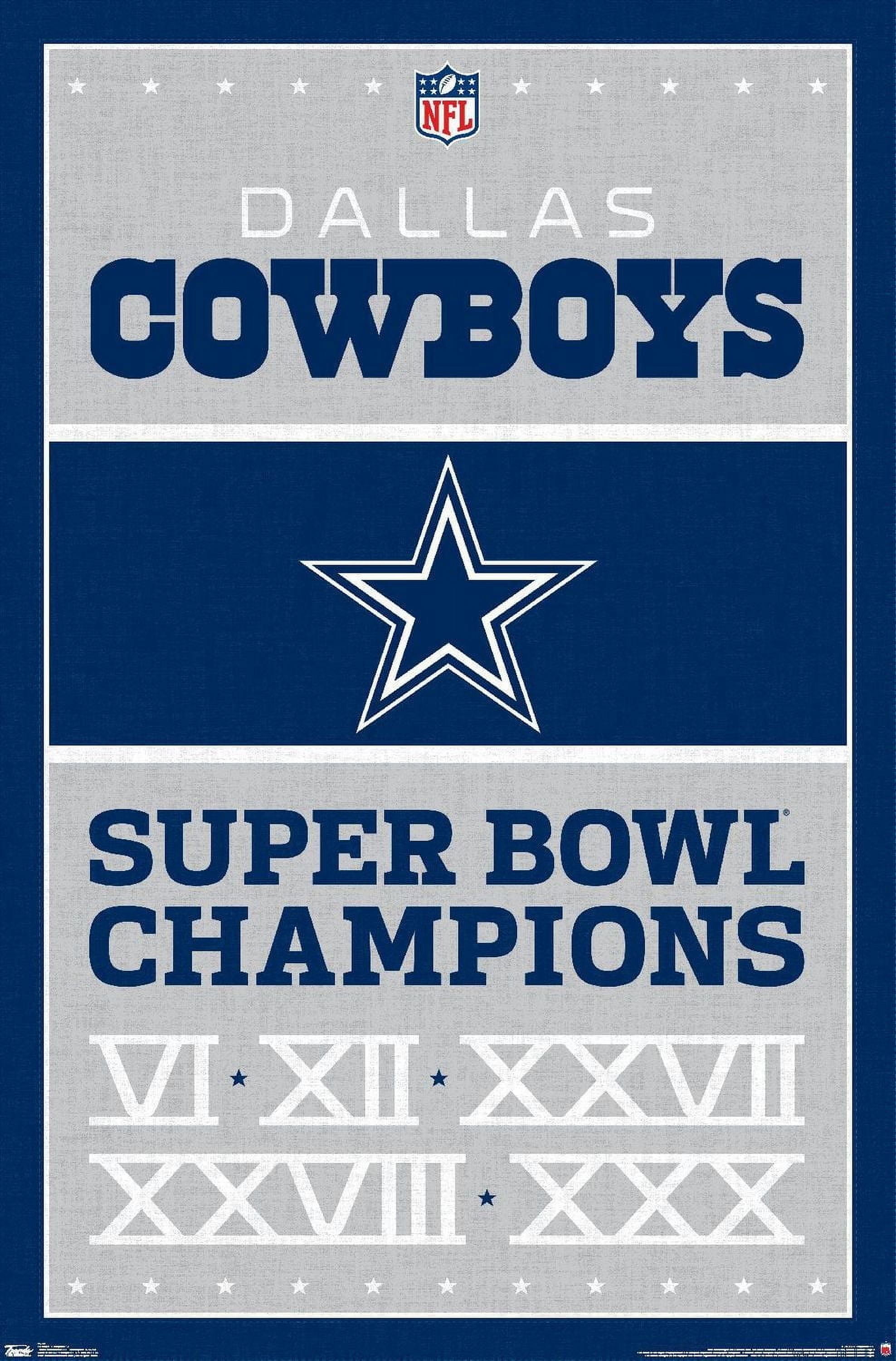 NFL Dallas Cowboys - Champions 13 Wall Poster, 22.375" x 34"