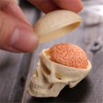thumbnail image 2 of Baohd Modèle d'Organisation Interne pour l'Enseignement de l'Anatomie du Corps Humain Jouets d'Assemblage, 2 of 6