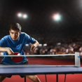 thumbnail image 3 of Table Tennis Nets Table Tennis Nets, Adjustable Retractable Net, Ping Pong Replacement Net, Movable, 3 of 5