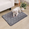 thumbnail image 4 of Btomtd 20"x16" Winter Warm Pet Mat for Cats and Dogs, Cozy and Soft Cat Bed and Dog Bed Kennel Mat Counteractive to Wear and Scratches, Washable Puffy Mat Resistance to Biting, Gray, 4 of 6
