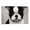 Frame-style, variant on BOSTON TERRIER by Margaret Keane Poster Canvas Wall Art Poster Decorative Bedroom Modern Home Print Picture Artworks Posters 12x18inch(30x45cm)