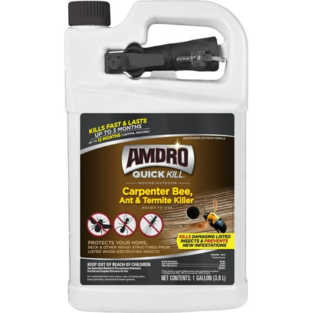 Amdro Quick Kill Indoor and Outdoor Carpenter Bees, Ant and Termite Killer Ready to Use Trigger Sprayer; 1 (Best Natural Way To Kill Termites)