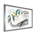 thumbnail image 2 of Designart 'Ancient Australian Birds IV' Traditional Framed Art Print, 2 of 4
