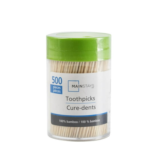 MS Cure-dents 500CNT Cure-dents