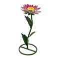 thumbnail image 1 of Rustic Arrow 102308 Accent en Métal Marguerite Queen, 1 of 1
