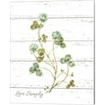 thumbnail image 1 of My Greenhouse Clover Live Simply by Lisa Audit, Canvas Wall Art, 16W x 20H, 1 of 1