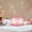 A, variant on Cupcake Carrier and Cake Keeper with Lid, Rectangle Pie Carrier,Portable Round Cake Carrier with Handle Container for Bundt Cake Pie Cheesecake