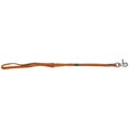 thumbnail image 1 of MPP Professional Dog Groomers Slip Style Fashion Grooming Loops 21" Choose Color (Orange), 1 of 1