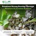 thumbnail image 5 of PVP Industries Organic Coarse Perlite for Garden Planting and Soil Mix, 120 Qt, 4 Cu Ft, 5 of 13