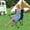 Navy, variant on Folding Camping Chair for Adults, Portable Outdoor Chair with Cup Holder & Carry Bag, for Camping Beach Picnic Fishing, Compact Foldable Chair
