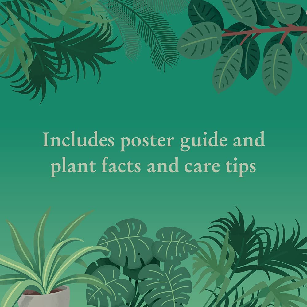 House Plants 1000 Piece Jigsaw Puzzle (Other)