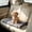 S, variant on Waterproof Non-Slip Pet Mat for Dogs and Cats, All Season Washable Sleeping Pad, Indoor Outdoor Cushion Bed for Small Medium Pets, Thick Thermal Cotton Filled, Durable and Soft