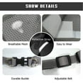 thumbnail image 4 of LAICAIW Dog Harness and Leash Set, No Pull Reflective Adjustable Pet Vest Harnesses for Puppy Kitten, Soft Mesh Chest Harness for Small Medium Dogs and Cats-Easy Control for Outdoor Walking, 4 of 7