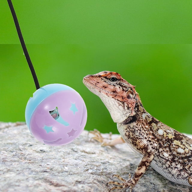 STRANDCHIC Hydro Balls Terrarium for Reptile 7Pcs Assorted Color Plastic Entertainment Toys