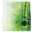 thumbnail image 3 of Ambesonne Japanese Shower Curtain, Spa Themed Trees and Blurs, 69"Wx70"L, Pale Yellow Green, 3 of 5