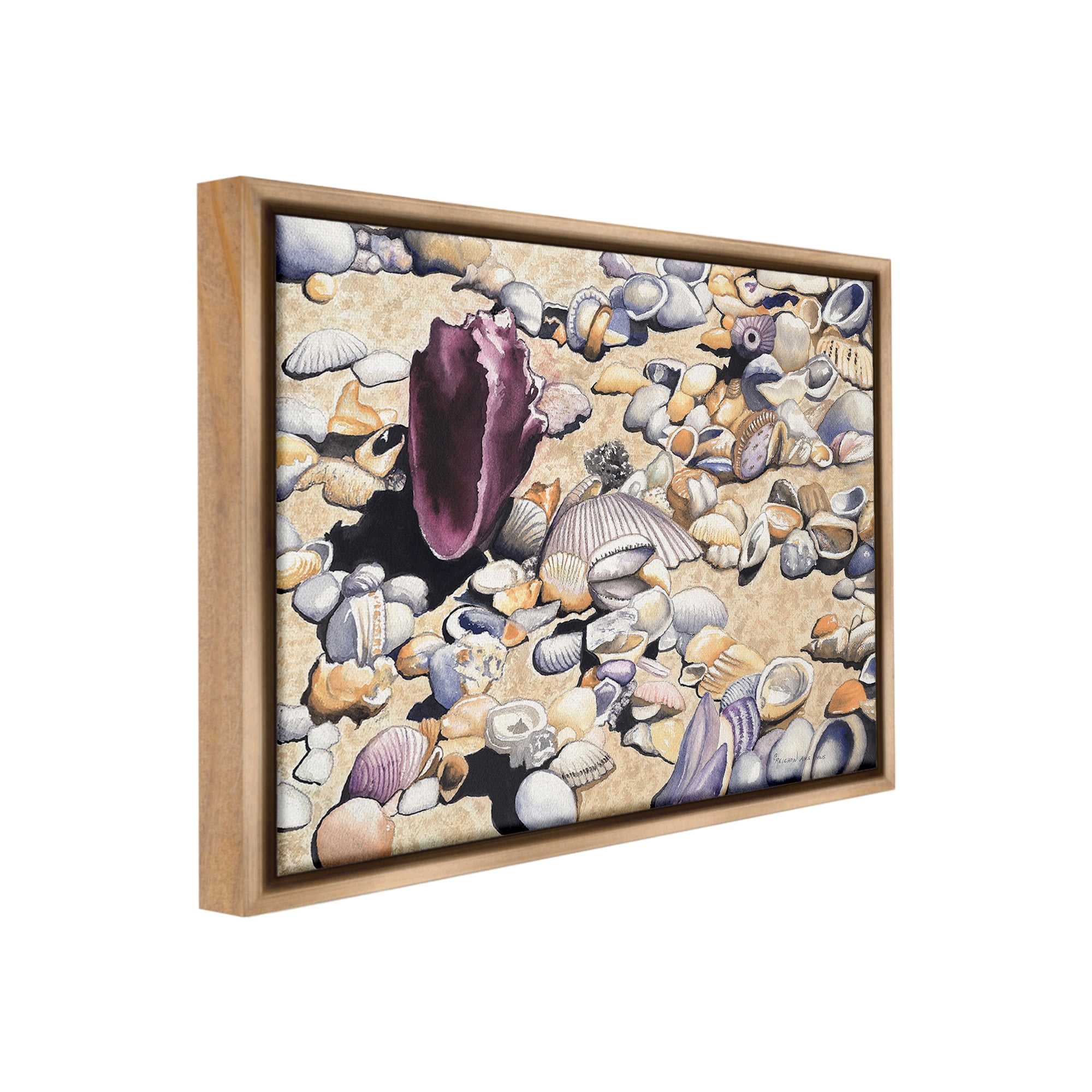 Stupell Industries Various Seashells on Coast Landscape Painting Brown Floater Framed Canvas Art Print Wall Art, 31 x 25