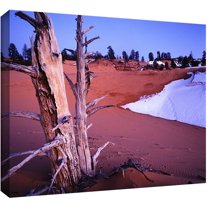 Dean Uhlinger "Coal Dunes Dusk" Gallery-Wrapped Canvas