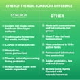 thumbnail image 6 of Synergy Trilogy Kombucha 48 fl oz, 6 of 7