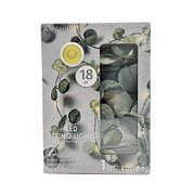 18ct. Warm White LED String Lights Eucalyptus Leaf Garland by Ashland