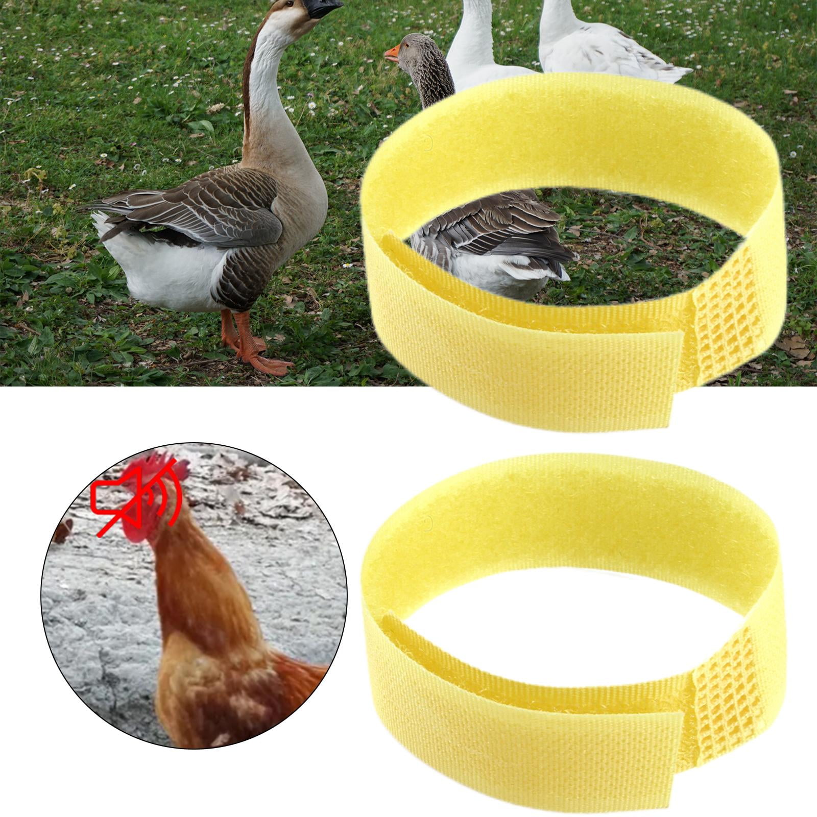 2 Pieces Rooster Collar Anti Crow Noise Neck Belt Nylon Rooster Collar