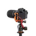 View all media